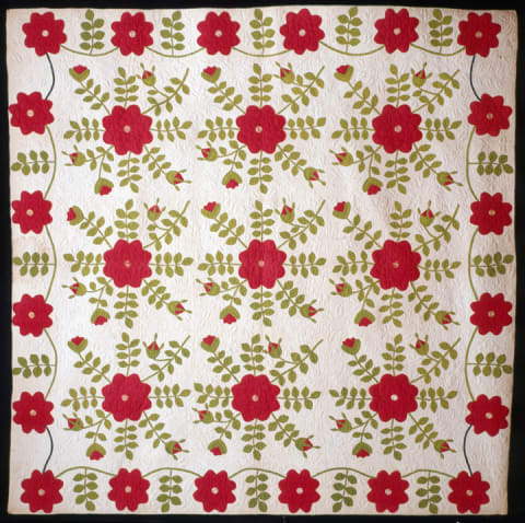 Rose of Sharon variation