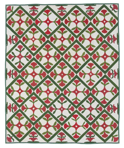 Coxcomb