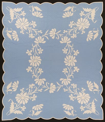 White on Blue Daisies