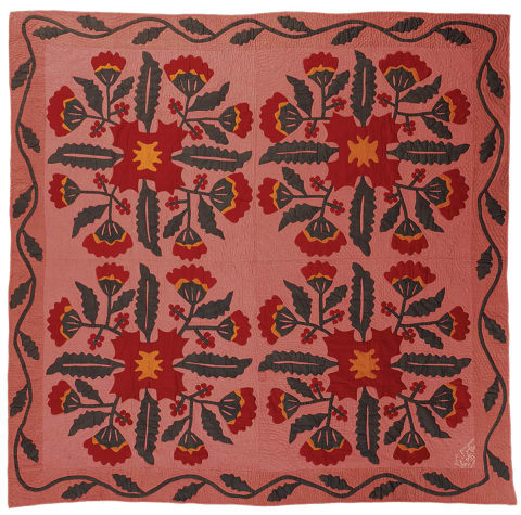 Coxcomb