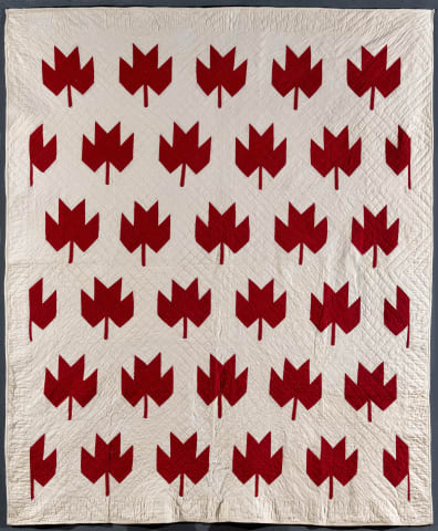 Maple Leaf