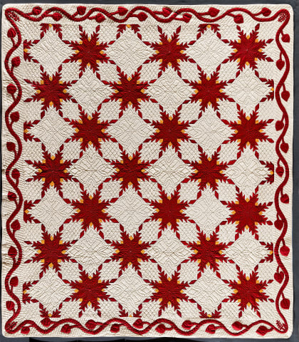 Feathered Star