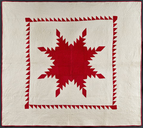 Feathered Star