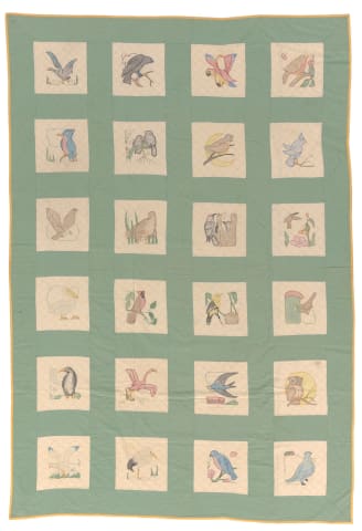 Birds