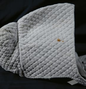 Bonnet