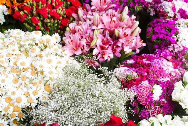 Cara Merawat Hand Bouquet dan Bunga Meja agar Tahan Lebih Lama