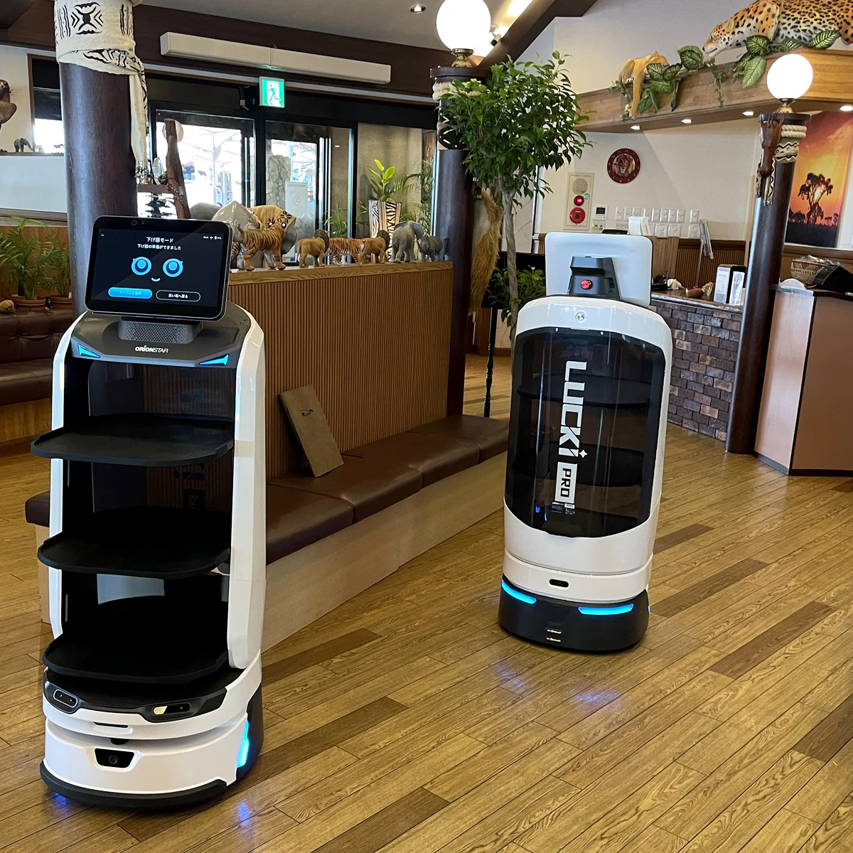 OrionStar robotları global kullanım videosu