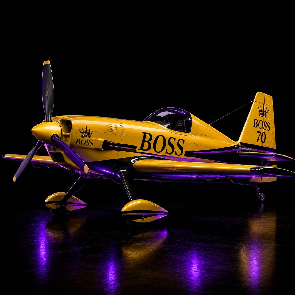 Howard BOSS Aerobatic NX