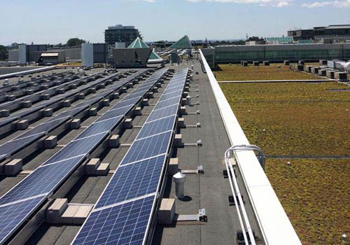 Photovoltaic solar panels and Toronto’s largest green roof system