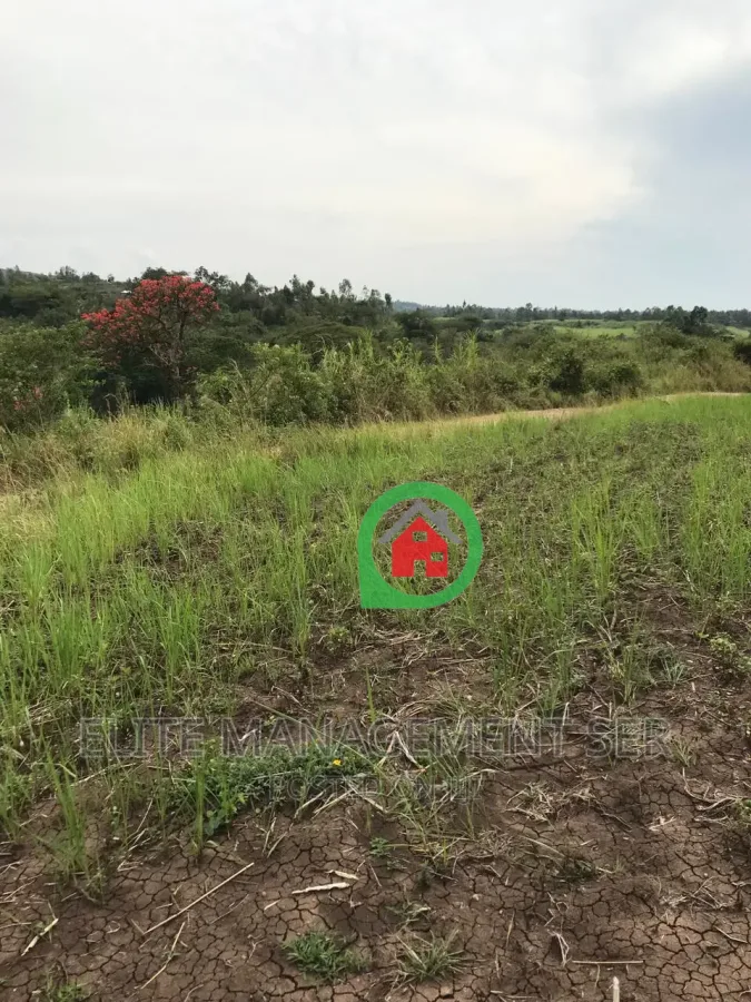 Farm measuring 128 acres for sale in Songor