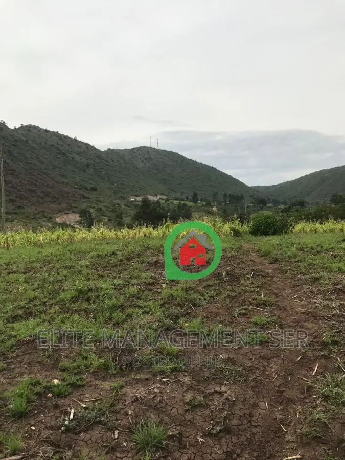 Farm measuring 128 acres for sale in Songor