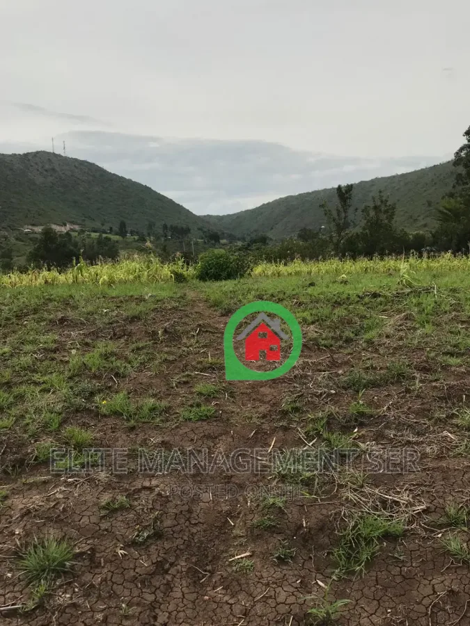 Farm measuring 128 acres for sale in Songor