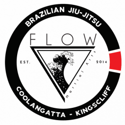 Flow Martial Arts Coolangatta logo