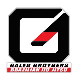 Galeb BJJ logo