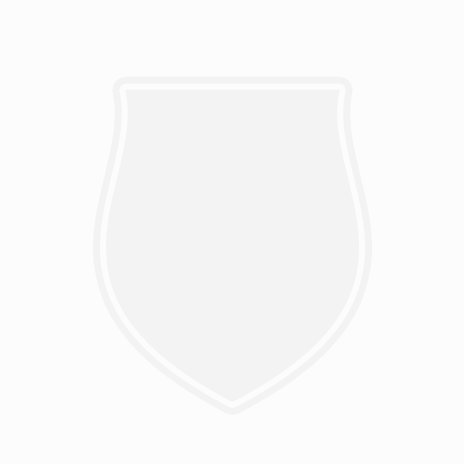 Gracie Barra Wollongong logo