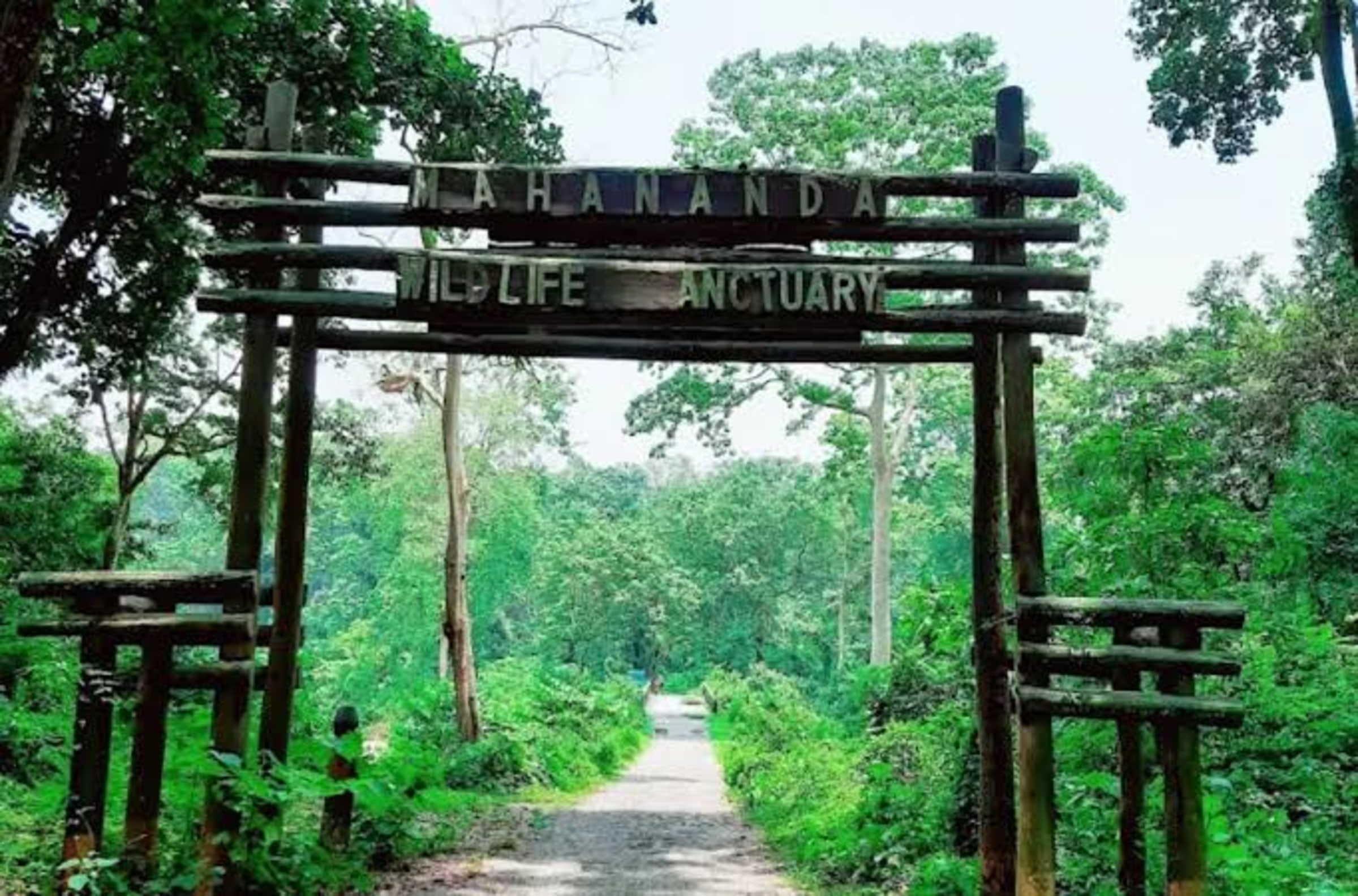 Mahananda Wildlife Sanctuary