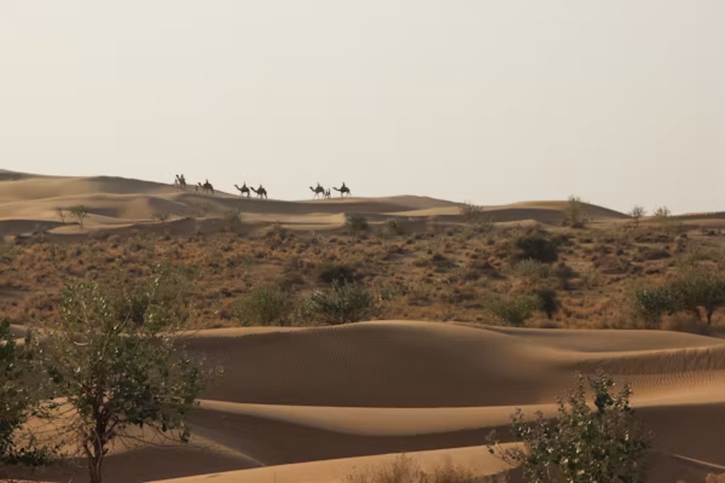 Rajasthan Desert Essence Tour