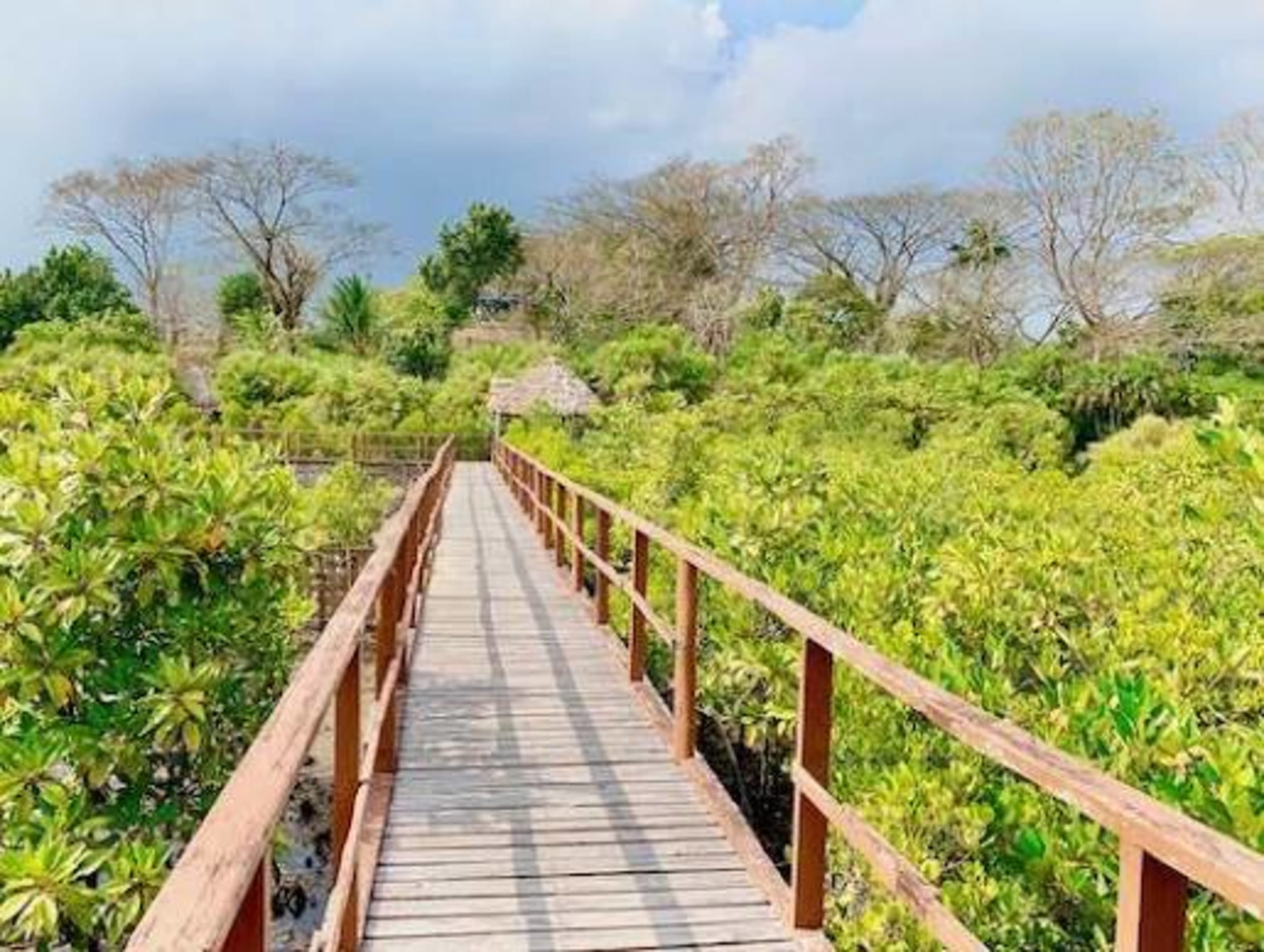 Yerrata Mangrove Park