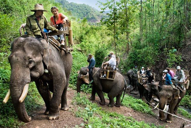 DAY 4 — CHIANG MAI CULTURE & ELEPHANT SANCTUARY