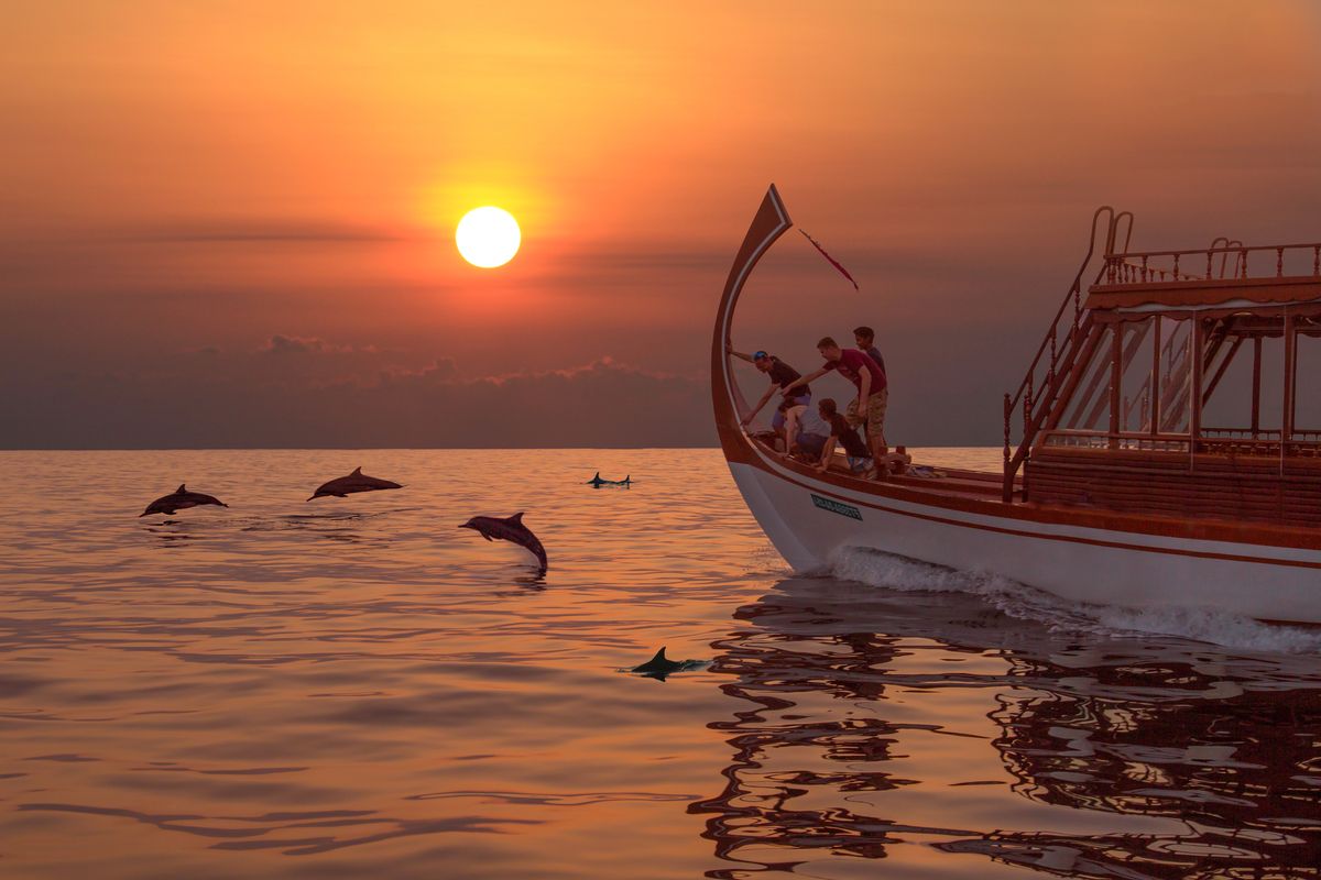 DAY 5 — DOLPHIN CRUISE & SUNSET