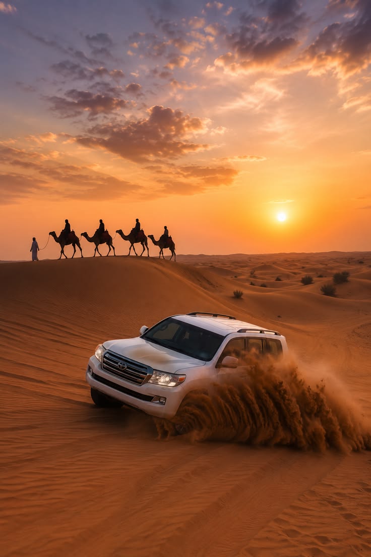 Dubai Desert Conservation Reserve