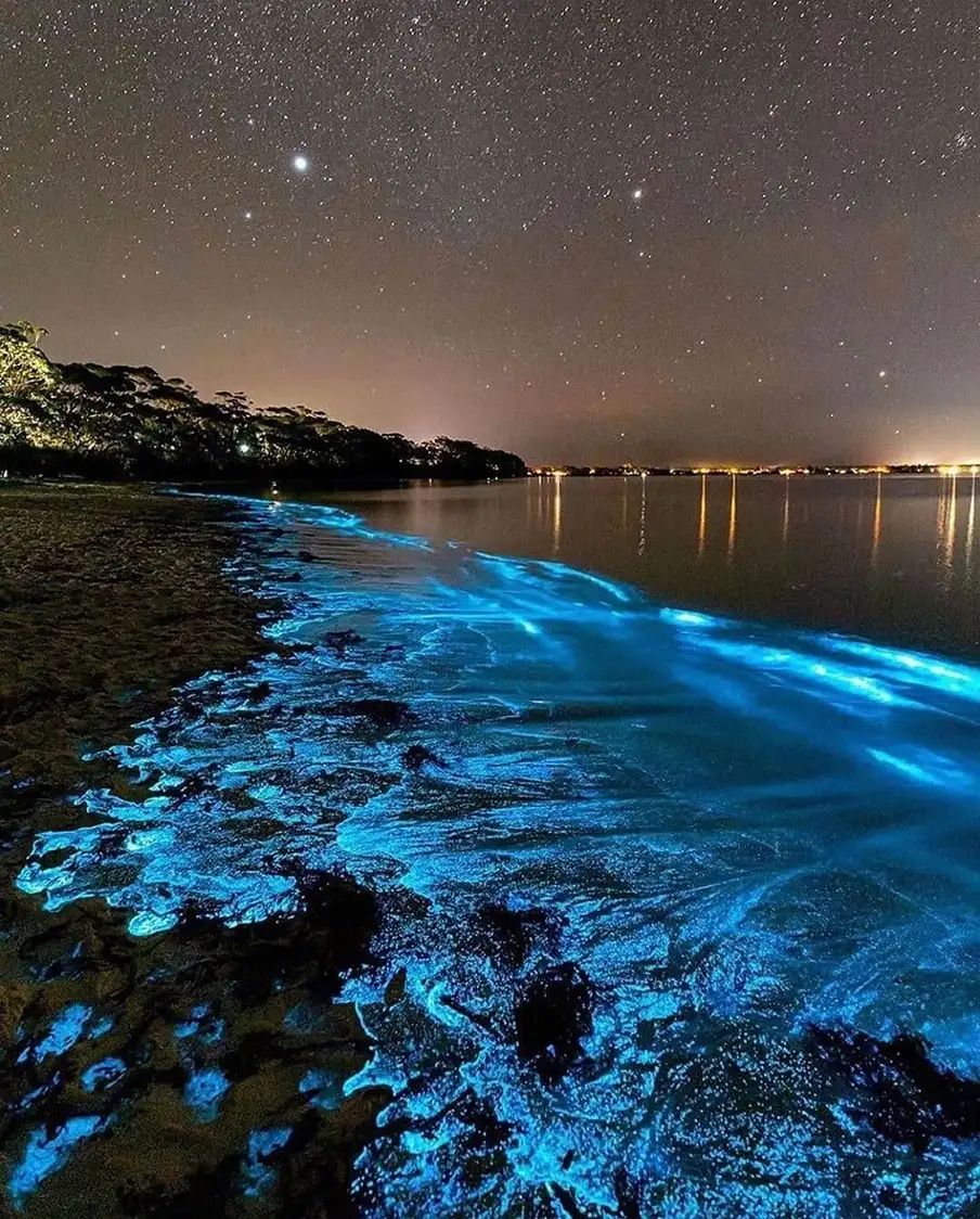 Vaadhoo Island Sea of Stars