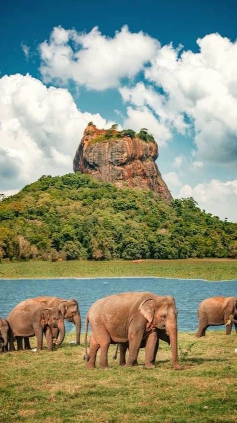 Sri Lanka