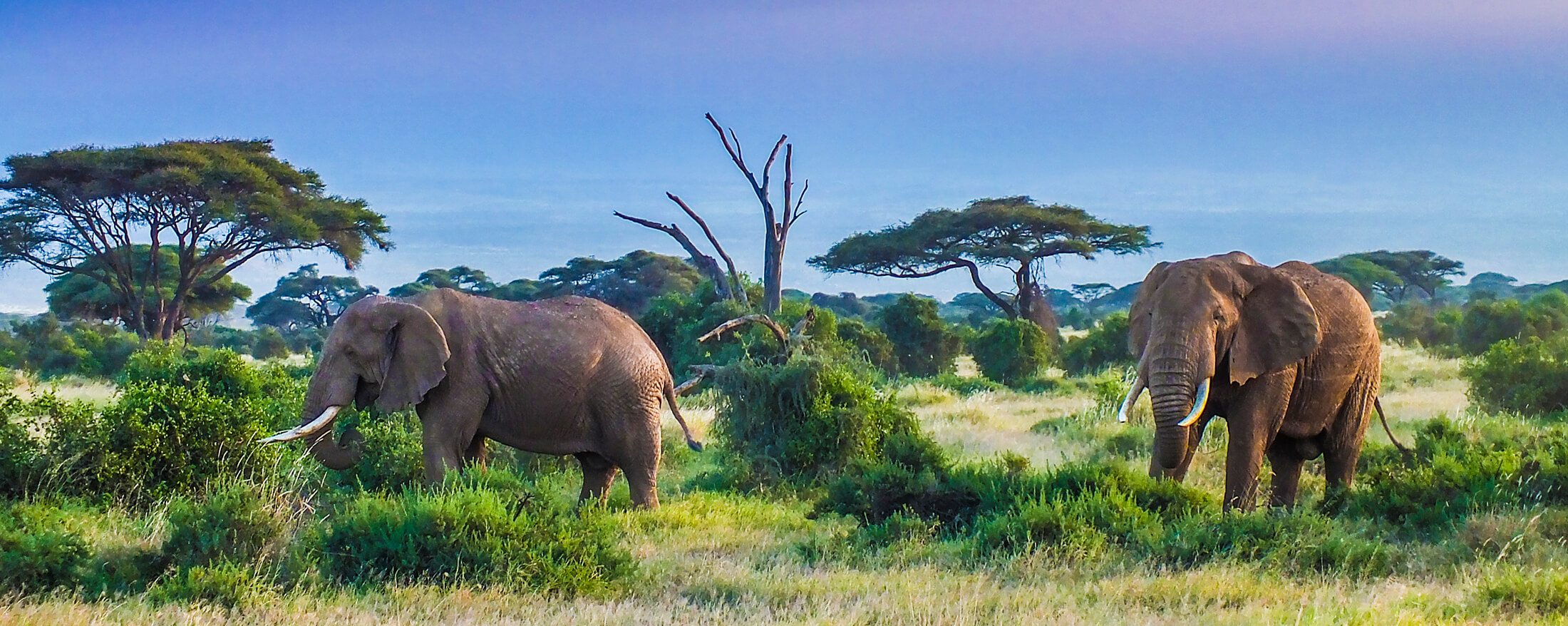 Tanzania travel destination