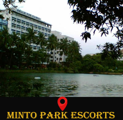              VIP escorts  in Minto Park