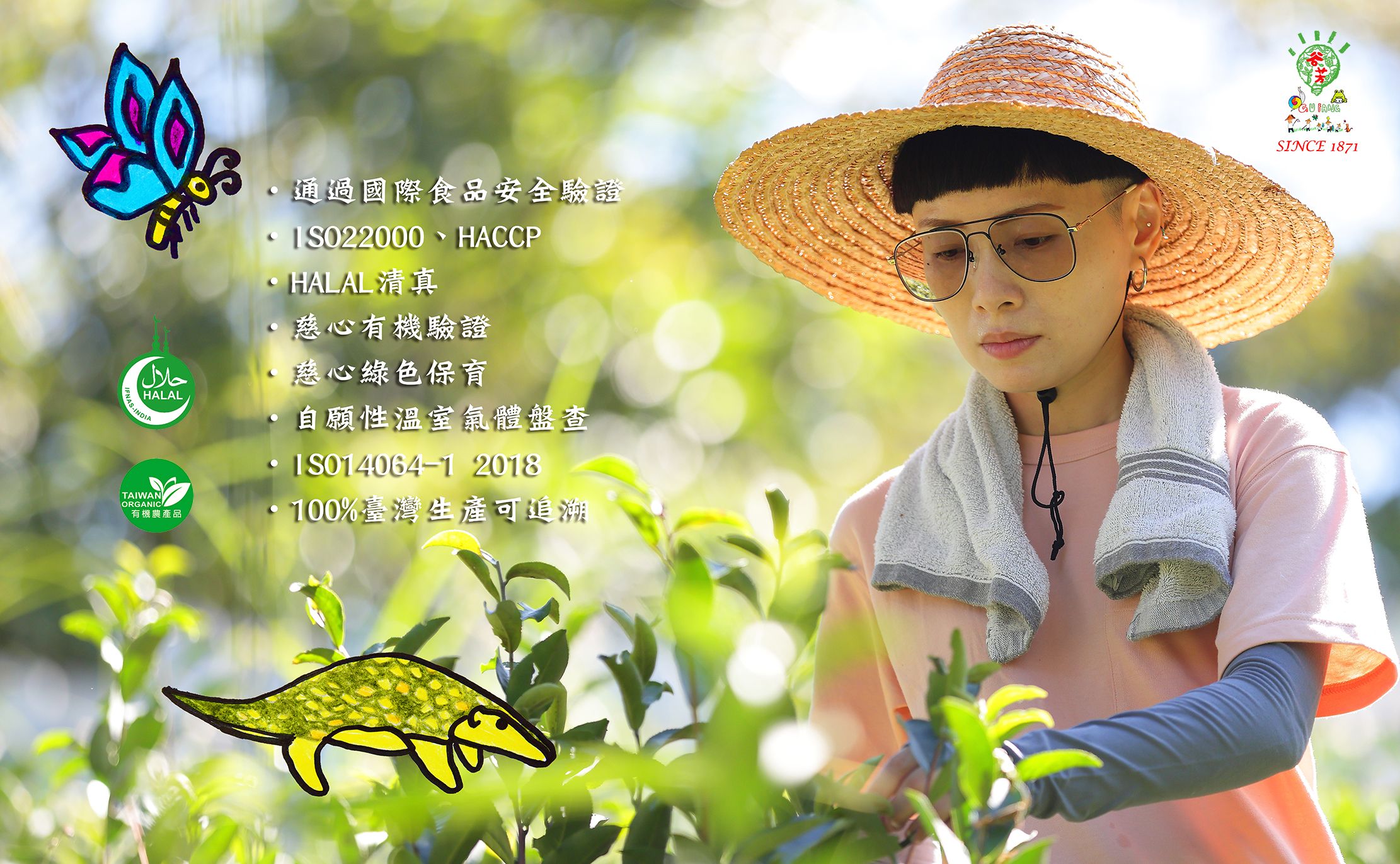 谷芳有機茶園