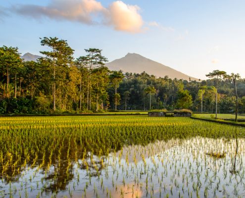 lombok-island-travel lombok-island-travel