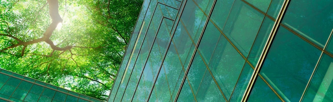 glass building and a tree