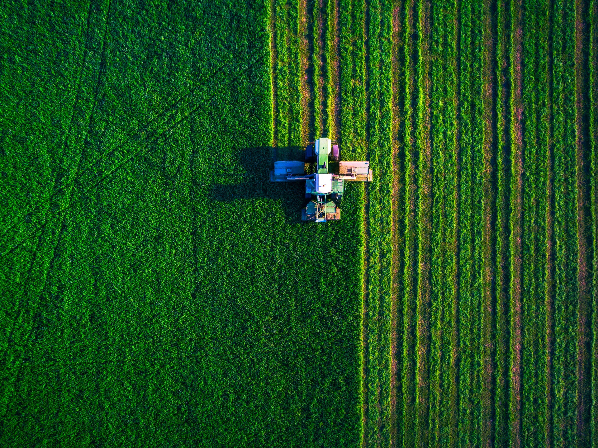 framers in the agriculture