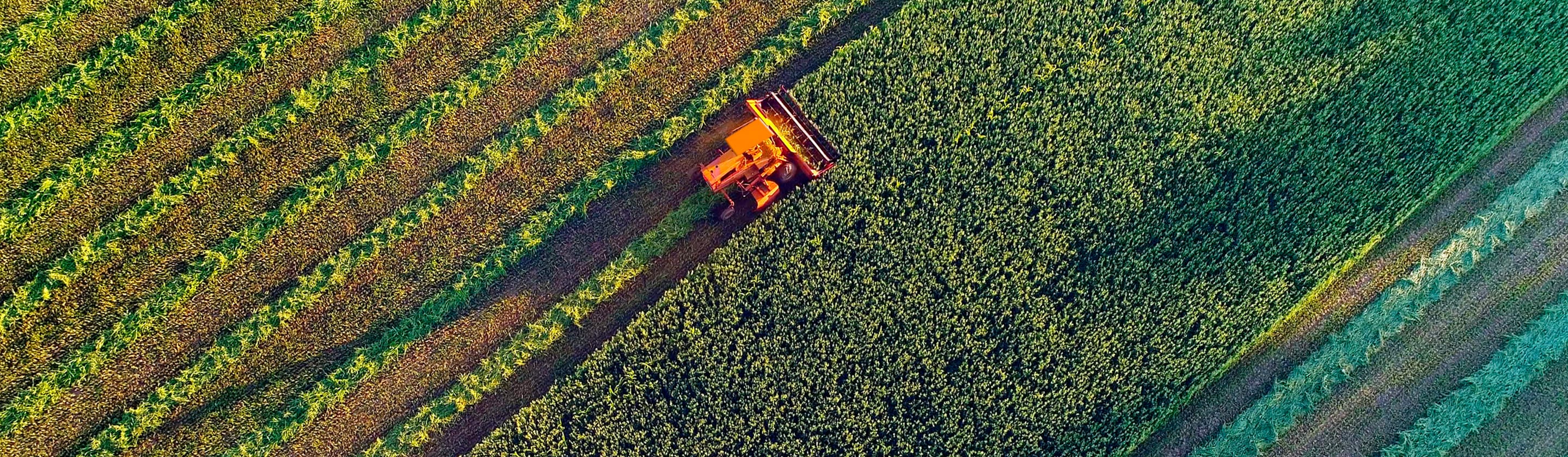 farmer with a dron