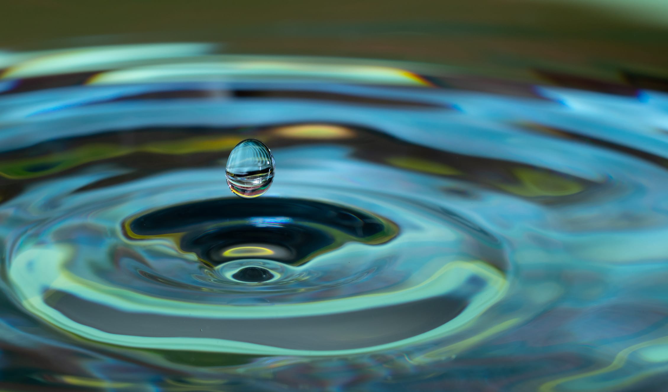 water circles, intesa sanpaolo bank albania 