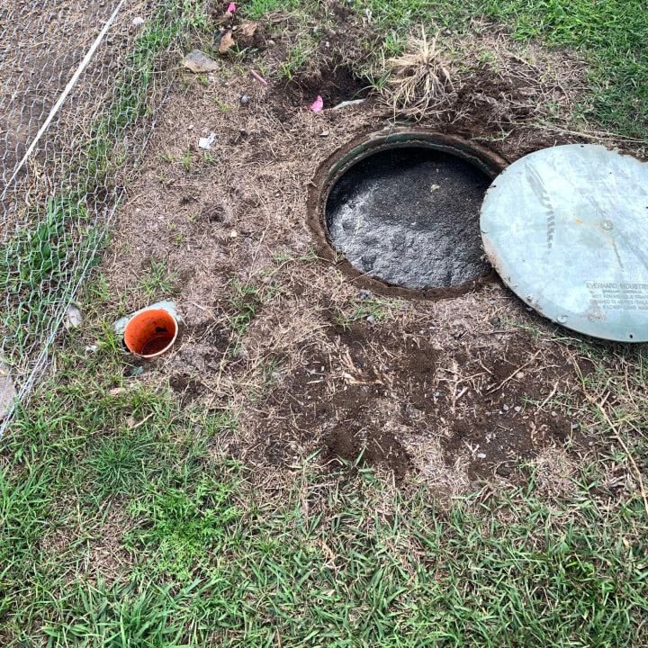 east auckland blocked drains