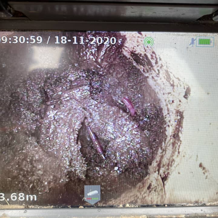 blocked drain
