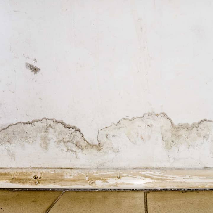 Leak Detection Horahia