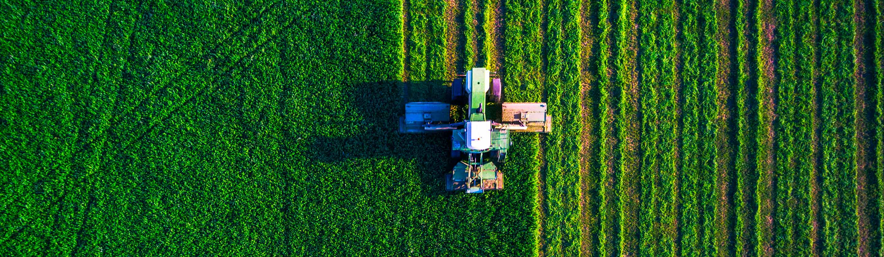 agriculture