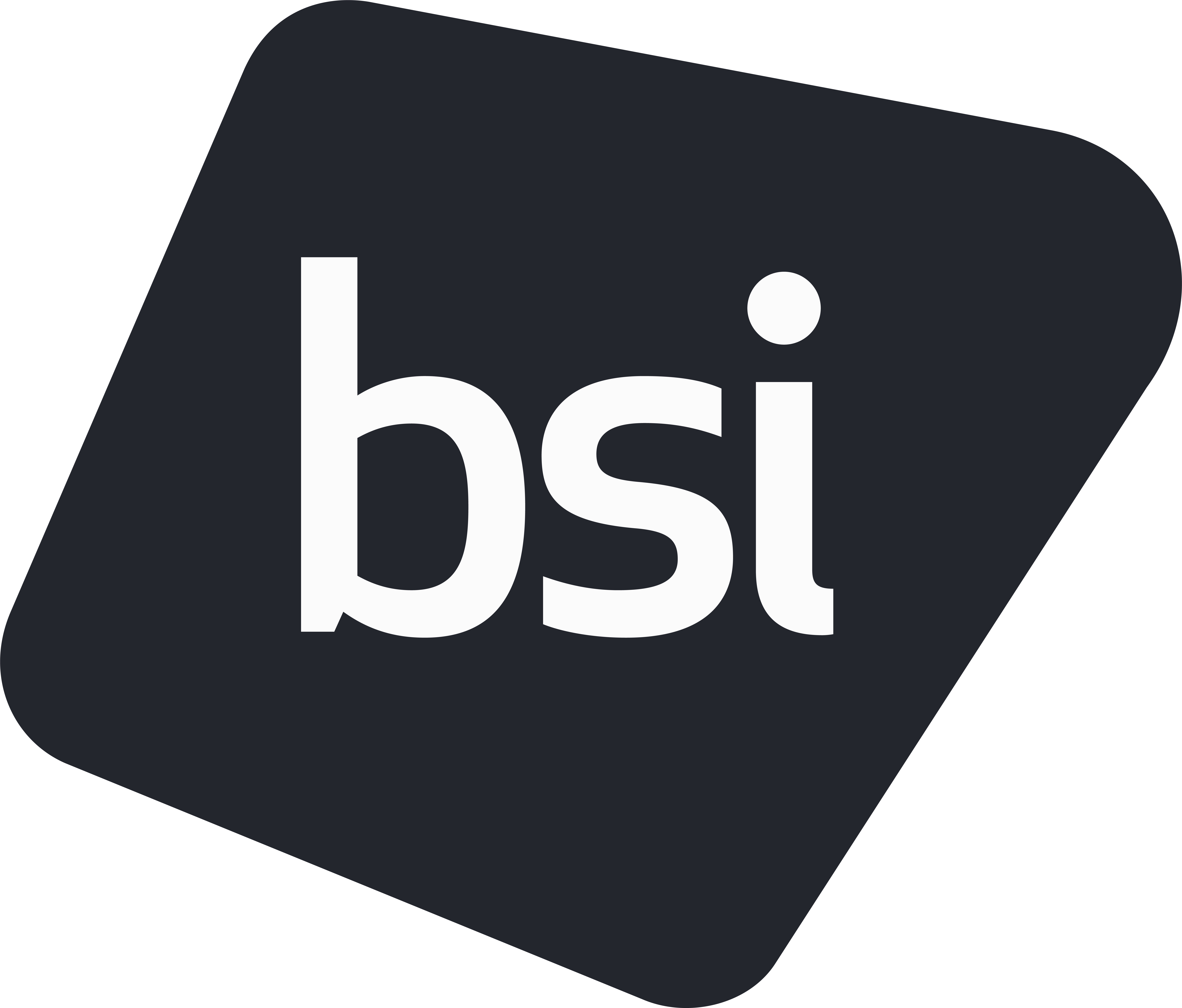 BSI logo