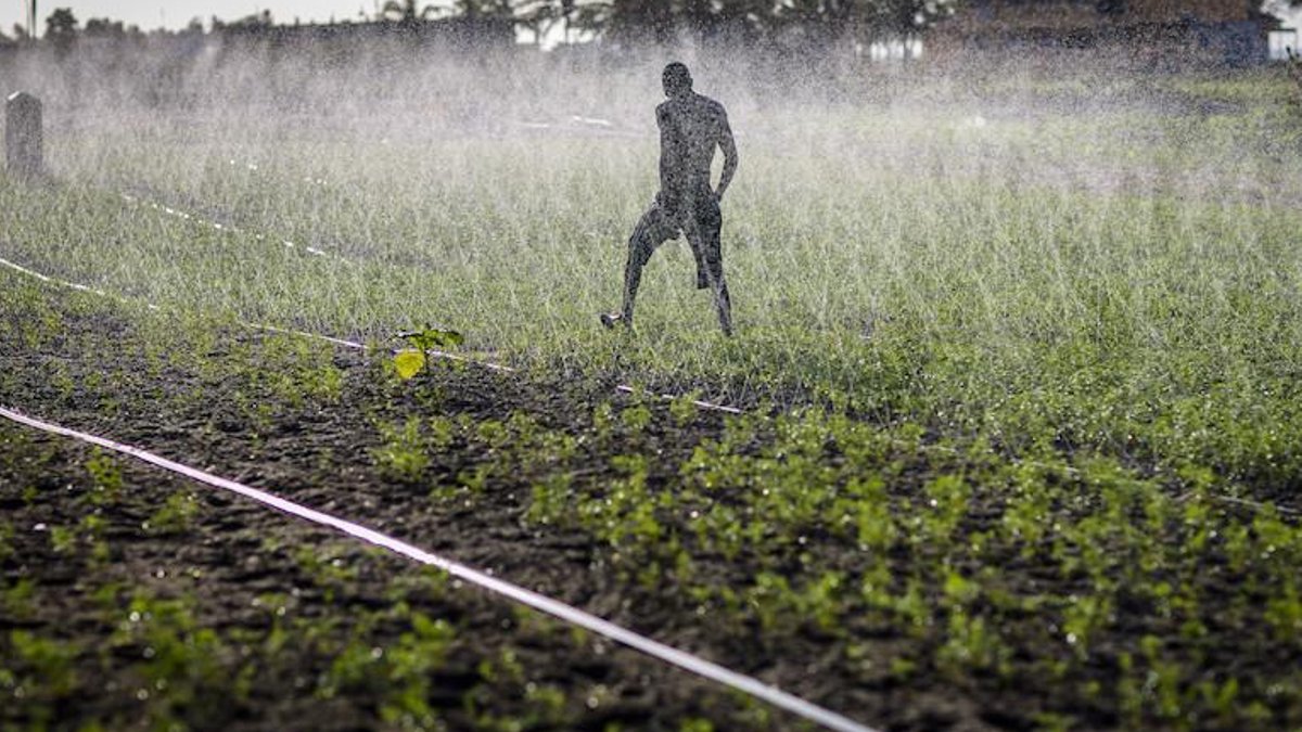 Ghana Allocates $105 Million to Rehabilitate Irrigation Schemes - ghana irrigation schemes