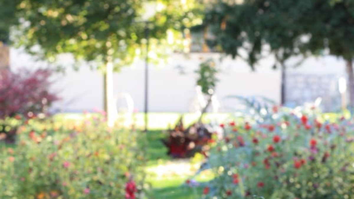 Eight Tips to Keep Gardens Thriving - garden care