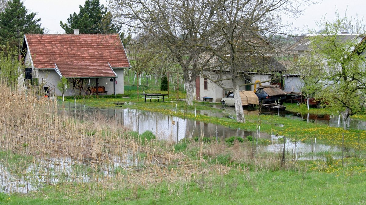 Better Alternatives To French Drains For Soggy Yards