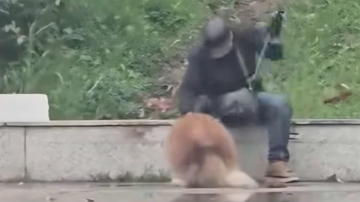 Da Lat Dog Beating Sparks Warning, Boycott Calls - pet abuse vietnam