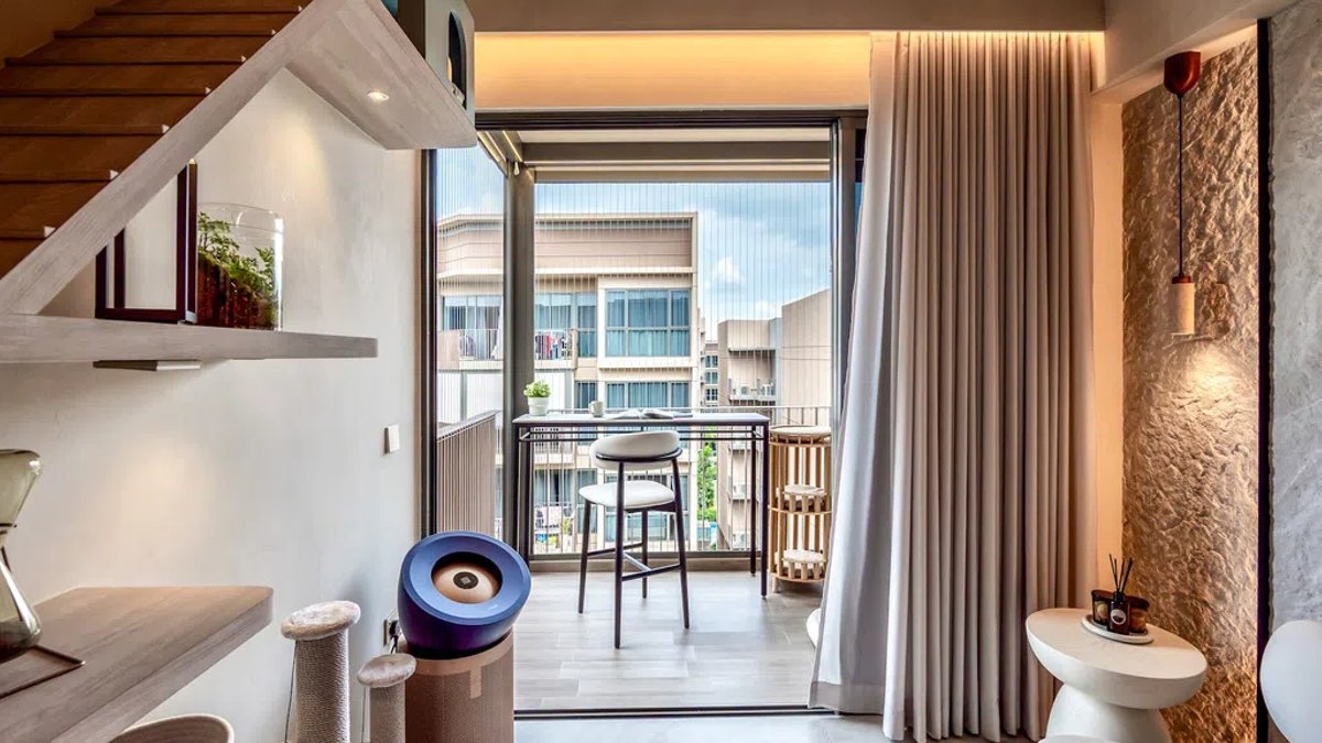 Luxury Penthouse Designed for Four Rescue Cats - cat-friendly penthouse