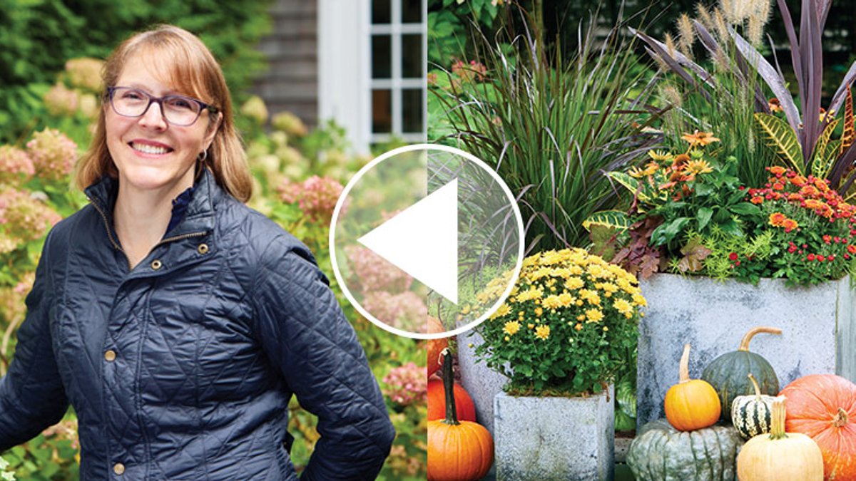 Garden Designer Shares Fall Container Garden Ideas - fall container garden