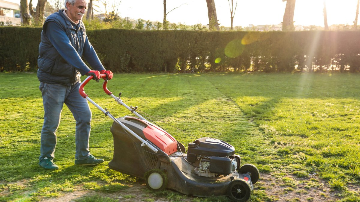 Level Bumpy Lawns with Old Garden Soil - bumpy lawns
