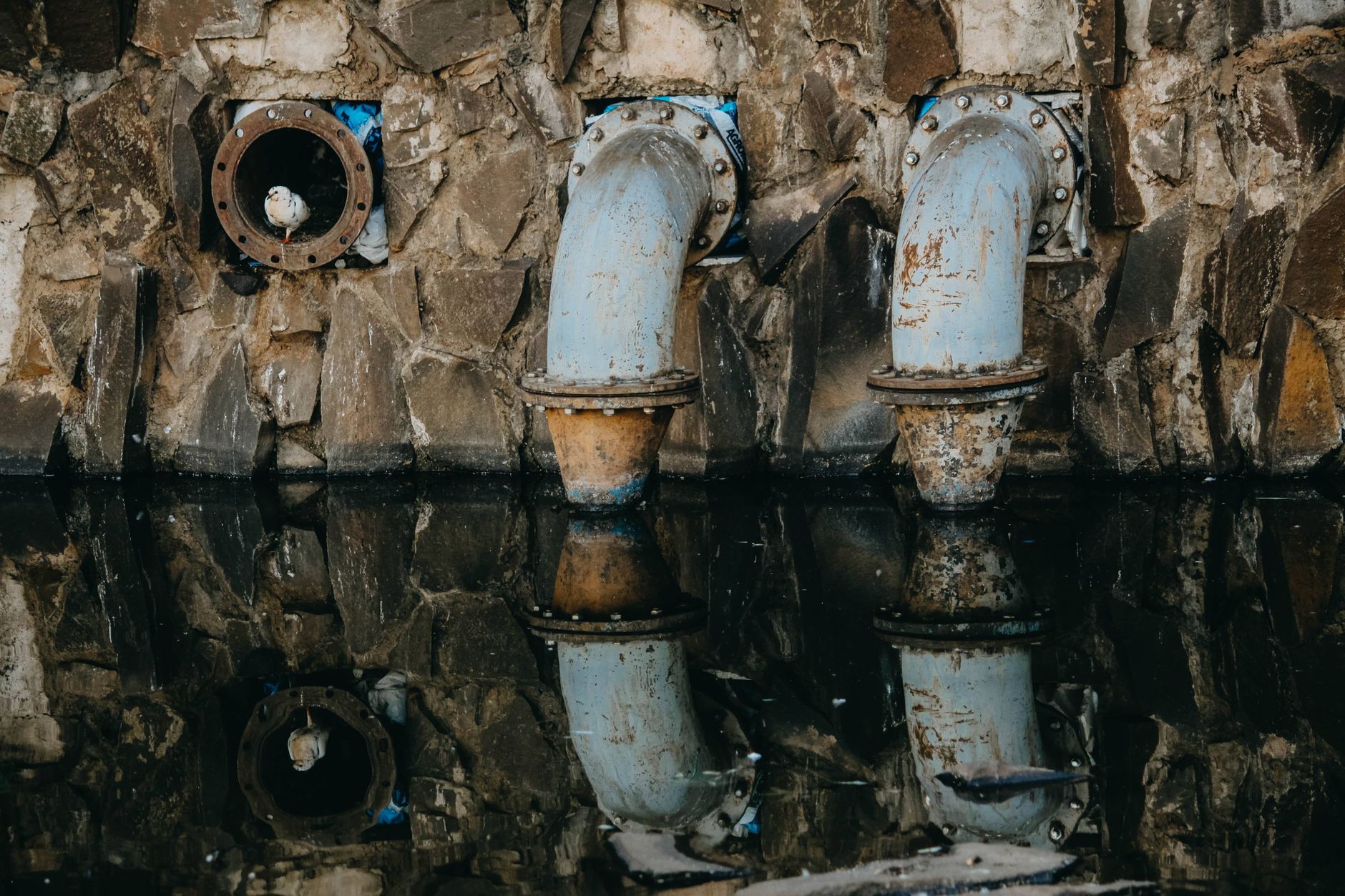 The Silent Crisis Underfoot: Common Sewer Line Problems Homeowners Should Never Ignore
