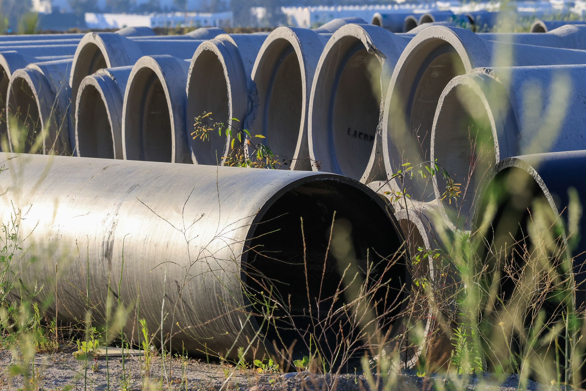 The Master of Pipes: A Guide to Choosing the Best Licensed Plumber in Your Area