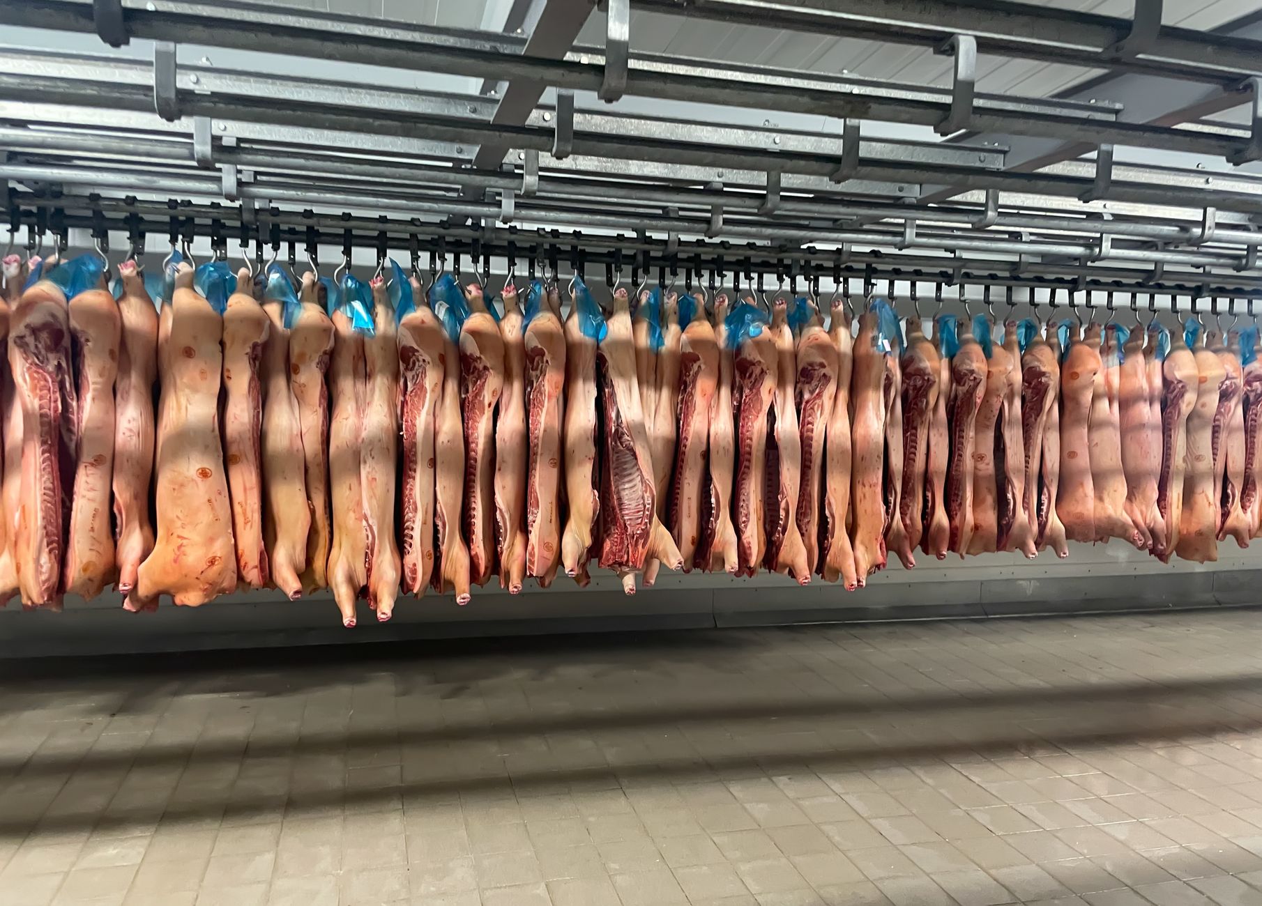 Food Industry Faces GRAS Reform, Tariffs, Legal Battles
